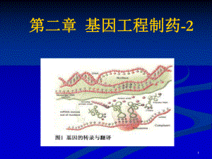 基因工程制药2课件.ppt