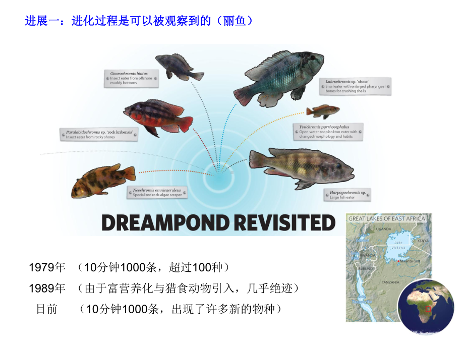 进化生物学研究进展课件.ppt_第2页