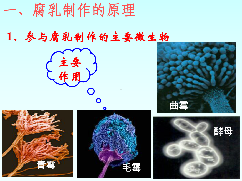 课题2腐乳的制作概要课件.ppt_第2页