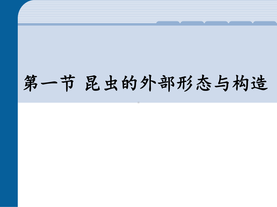 昆虫的外部形态与构造课件.ppt_第1页