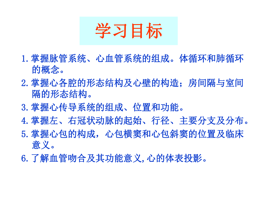 心血管系统概述心课件.ppt_第3页