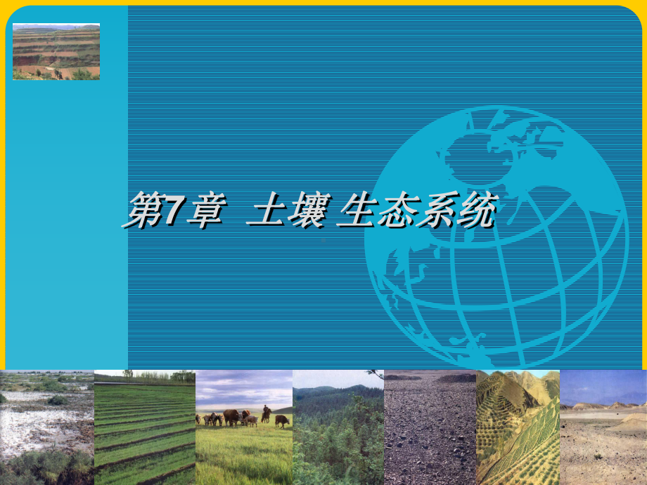 土壤生态系统课件.ppt_第1页