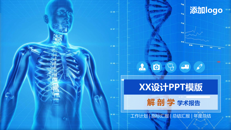 解剖学毕业答辨模板.pptx_第1页