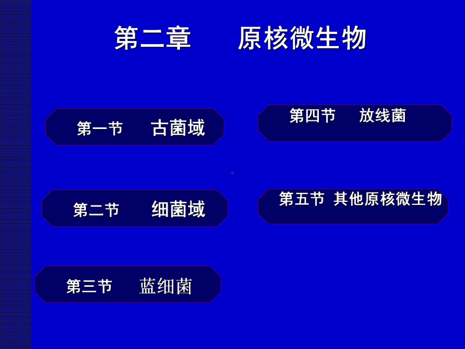 微生物原核微生物课件.ppt_第2页