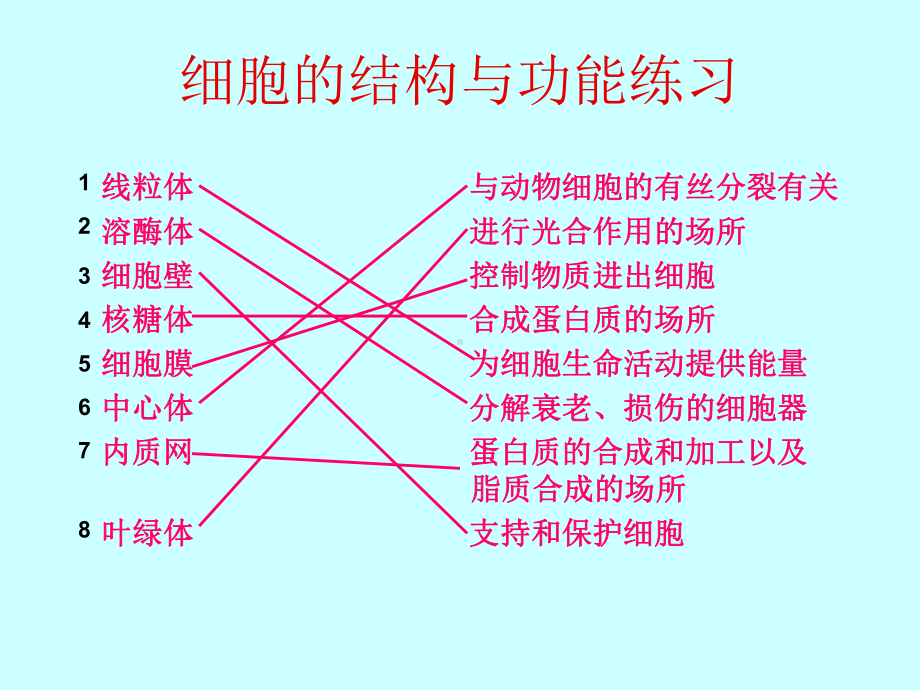 细胞器-系统的分工合作1优秀课件.ppt_第2页