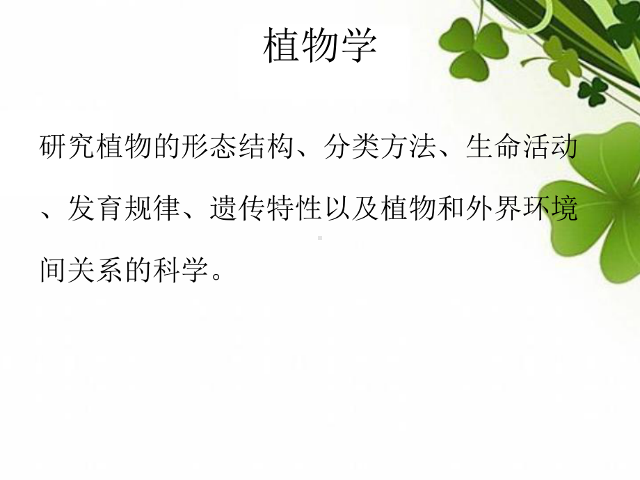 植物的组织与器官课件.ppt_第2页