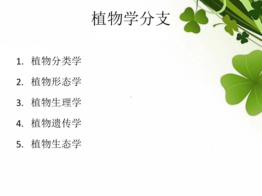 植物的组织与器官课件.ppt_第3页