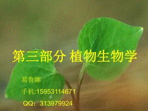 植物的组织与器官课件.ppt