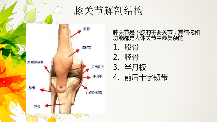 膝关节置换术后案例分析课件.ppt_第2页