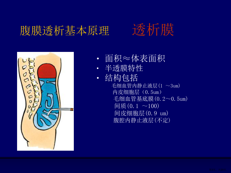 腹膜透析治疗的临床应用课件.ppt_第3页