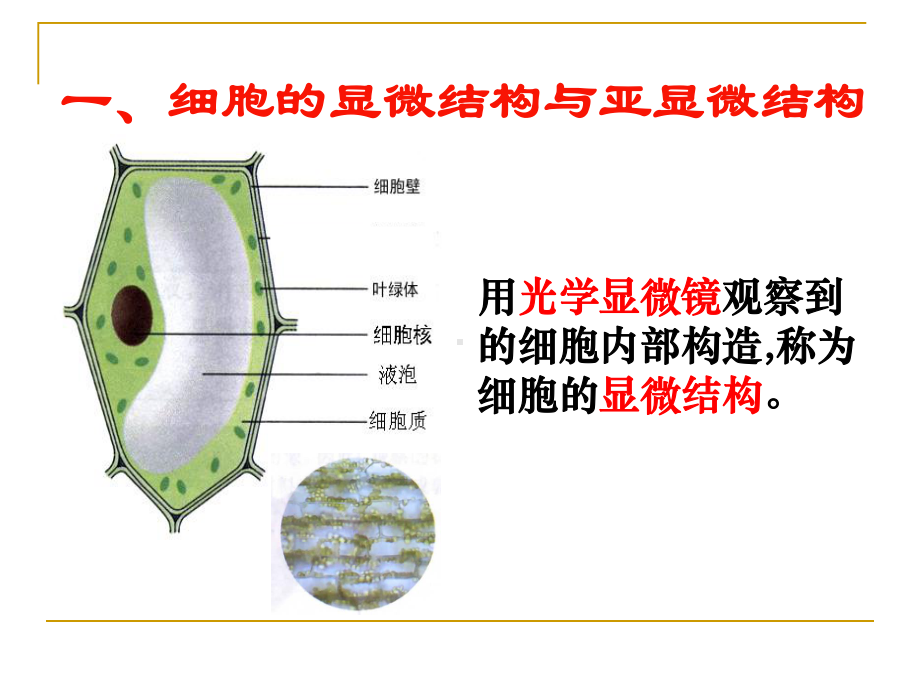 细胞器──系统内的分工合作--好的课件.ppt_第2页