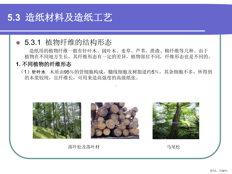 造纸材料及造纸工艺课件.pptx_第1页