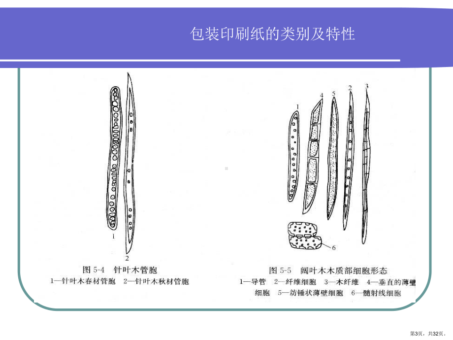 造纸材料及造纸工艺课件.pptx_第3页