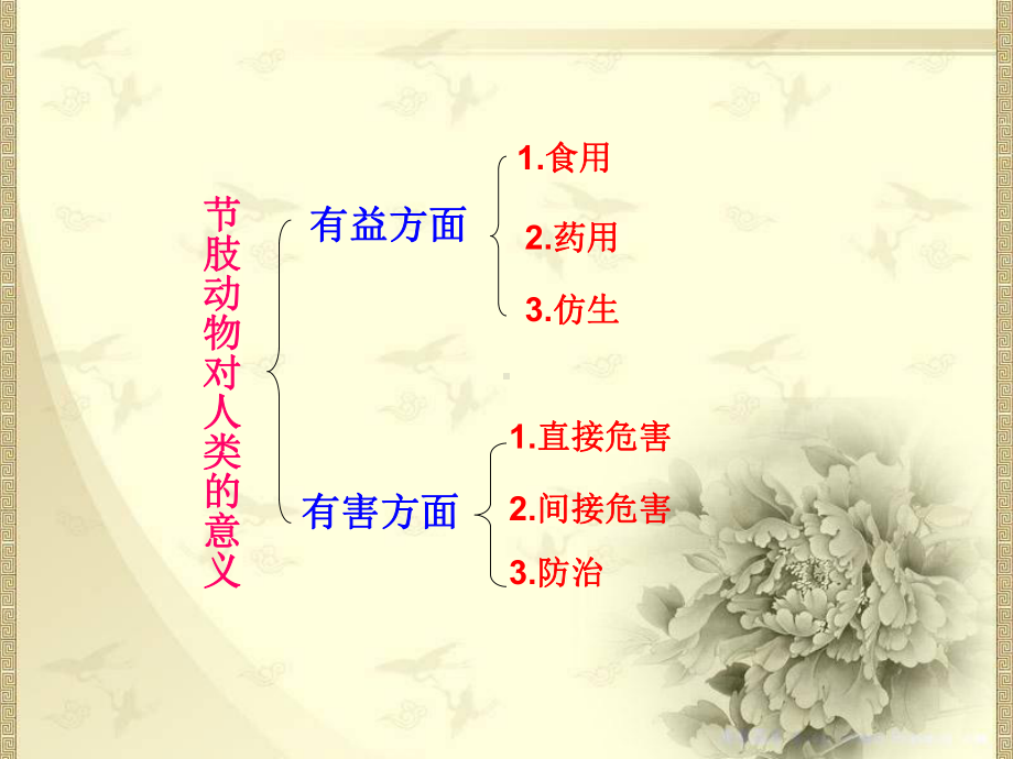 节肢动物与人类的关系课件.ppt_第2页