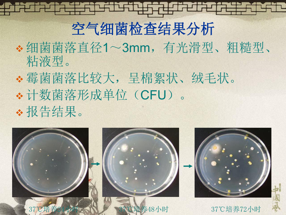 脓汁和粪便标本中病原菌的检测3护理学课件.ppt_第2页