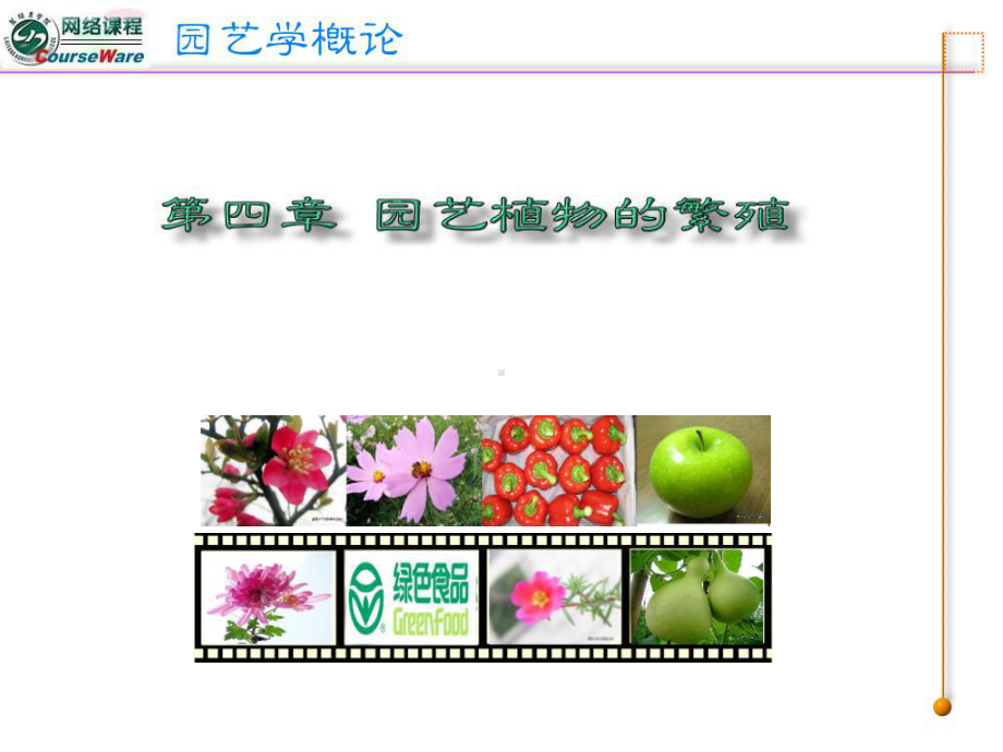 园艺植物的繁殖技术02课件.ppt_第1页