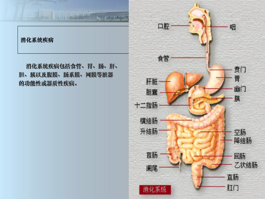 第节消化性溃疡病人护理课件.ppt_第1页