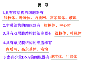 细胞核1优秀课件.ppt