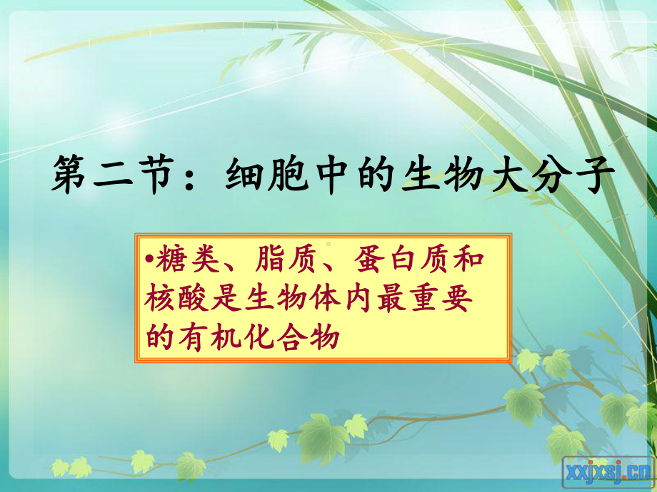 细胞中的大分子物质课件.ppt_第1页