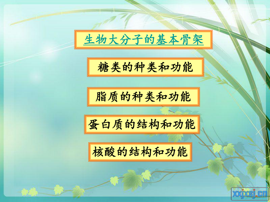 细胞中的大分子物质课件.ppt_第2页