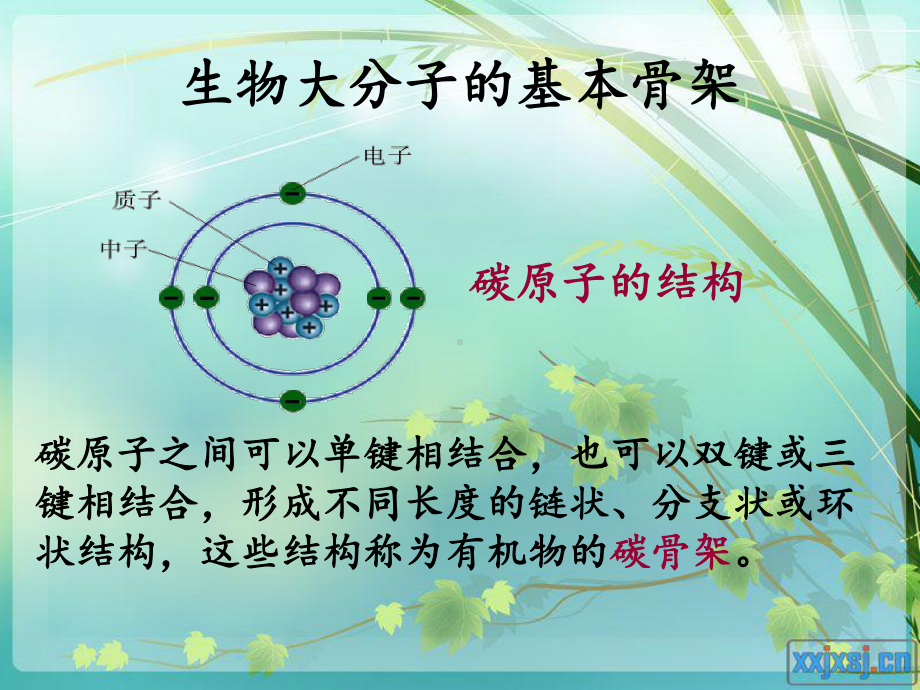 细胞中的大分子物质课件.ppt_第3页