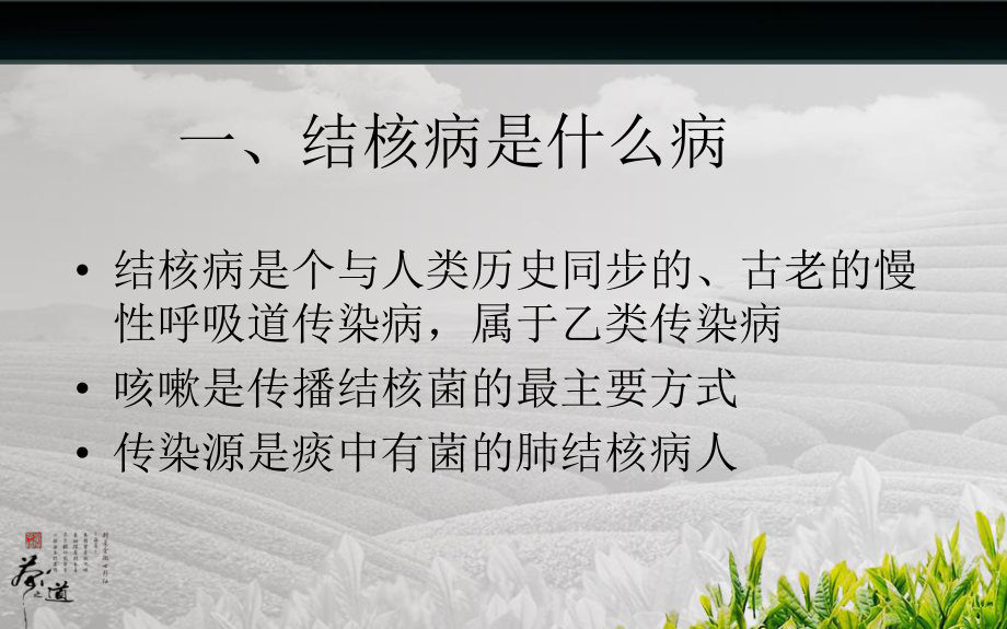 肺结核病健康指导课件.ppt_第3页