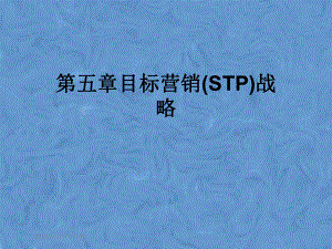 目标营销(STP)战略课件.pptx