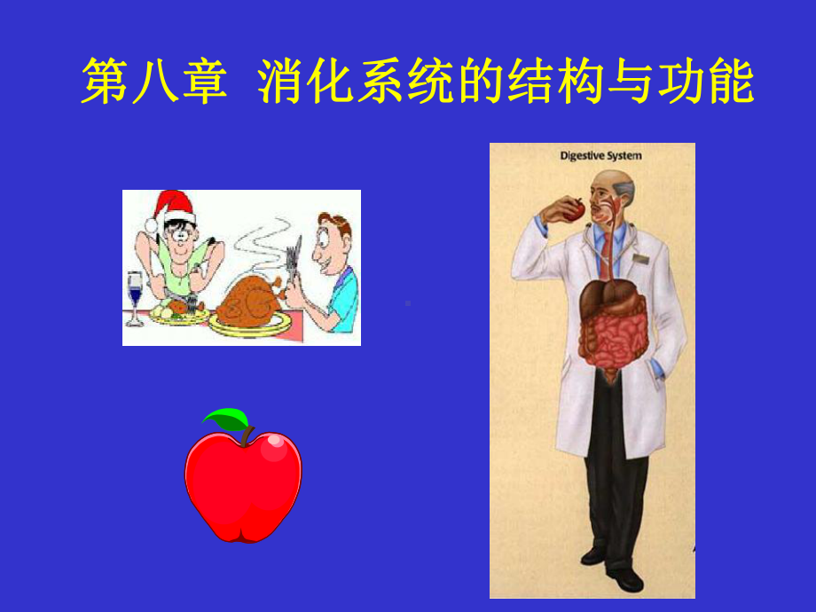 消化生理课件.ppt_第1页