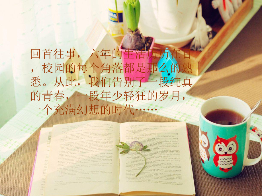 美术《留给母校的纪念》课件.ppt_第3页