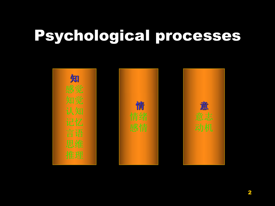 认知功能及其测量课件.ppt_第2页