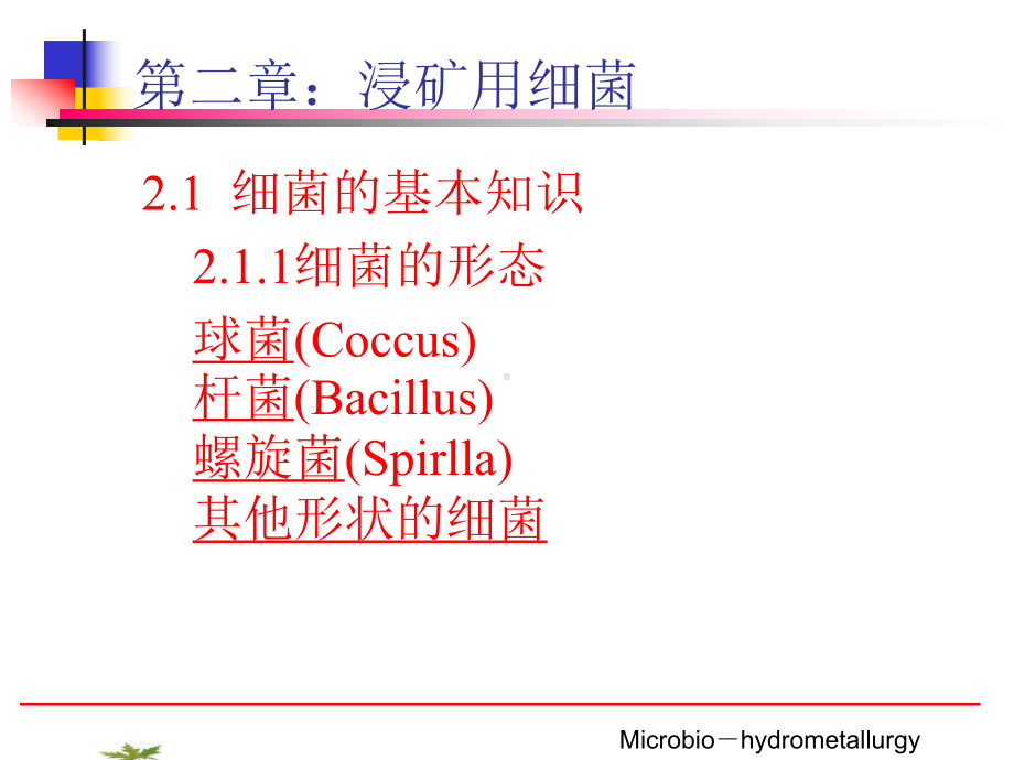 浸矿用细菌课件.ppt_第1页