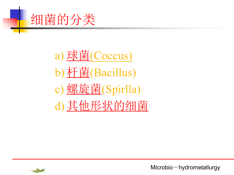 浸矿用细菌课件.ppt_第3页