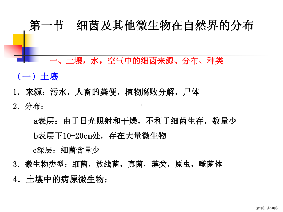 细菌及微生物生态课件.ppt_第2页