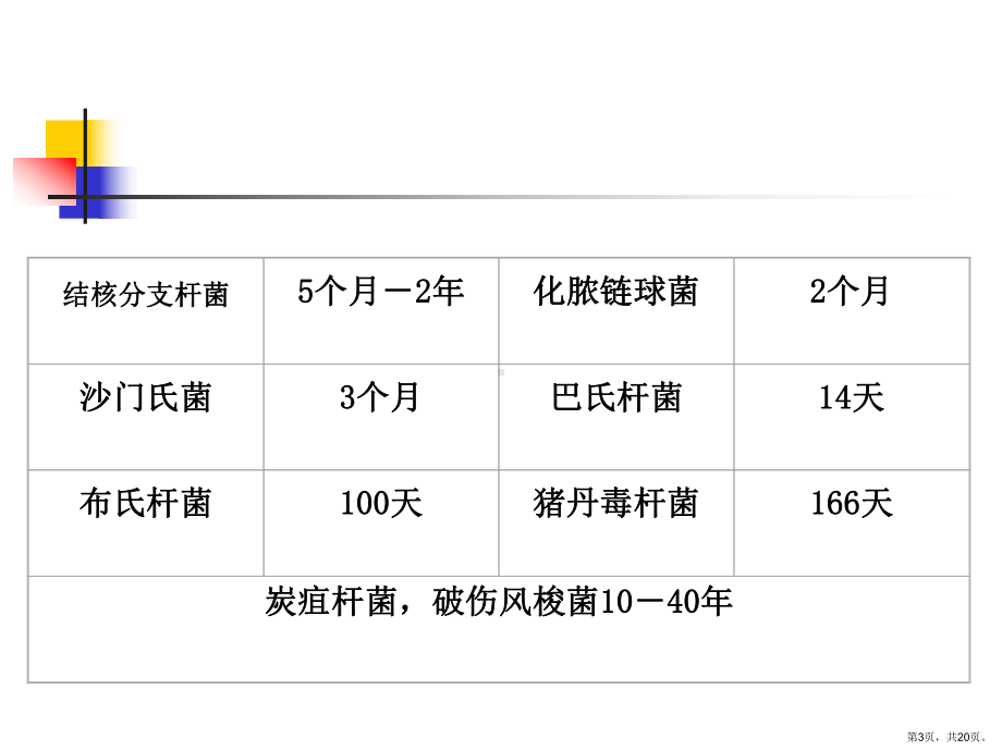 细菌及微生物生态课件.ppt_第3页