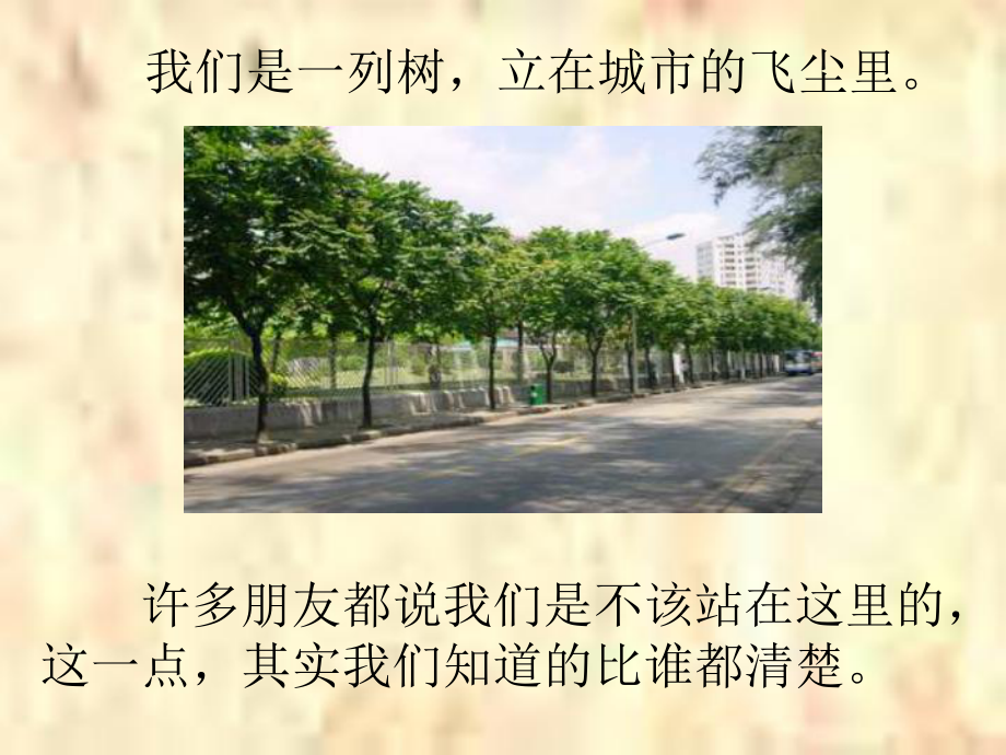 行道树全面版课件.ppt_第3页