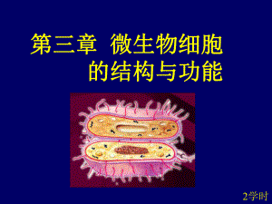 微生物的细胞结构与功能课件.ppt