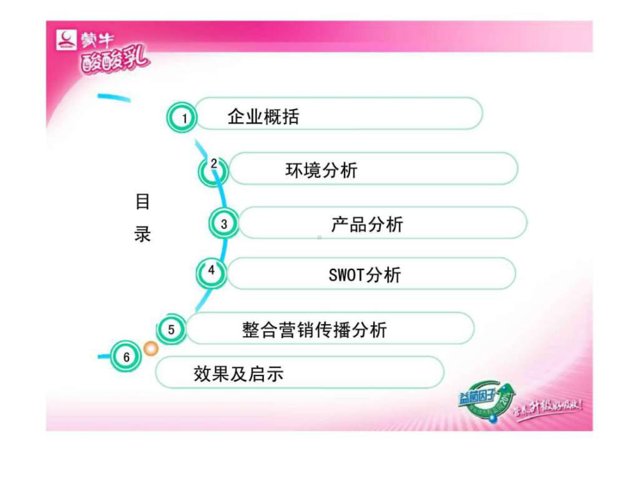 蒙牛酸酸乳整合营销传播策略课件.ppt_第2页