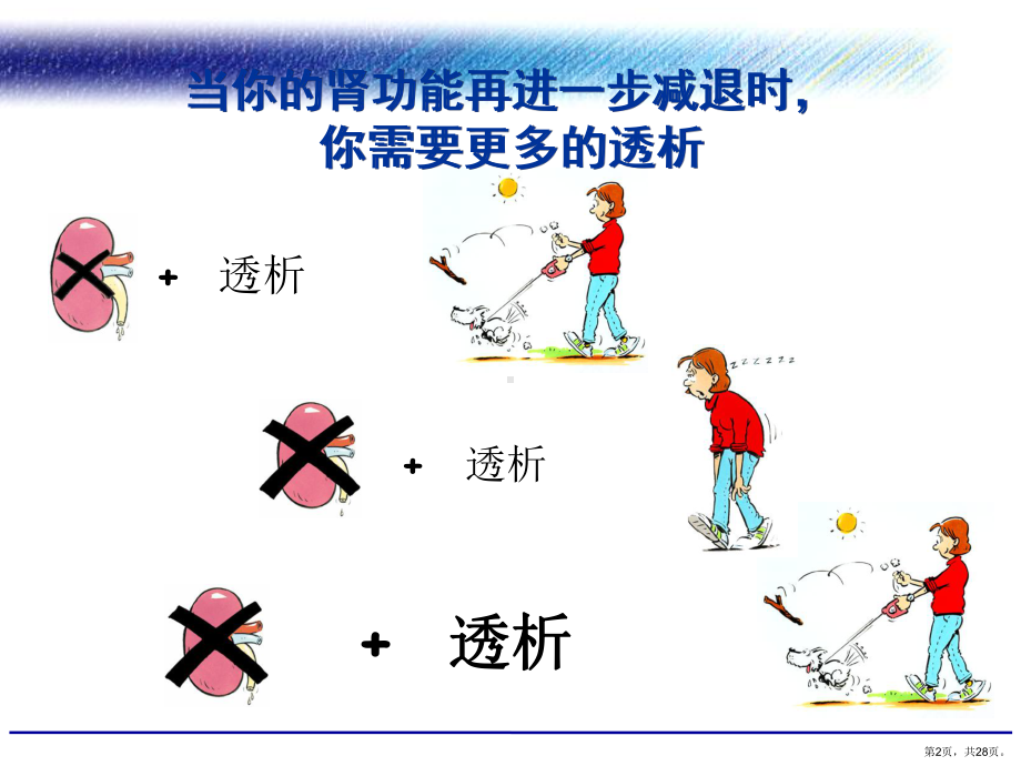 肾移植Renaltransplantation血液透析Hemodialysis腹膜透析课件.ppt_第2页