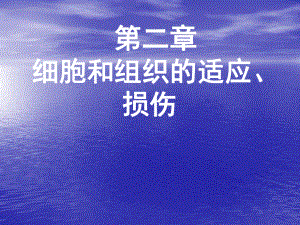 细胞组织的适应和损伤改课件.ppt