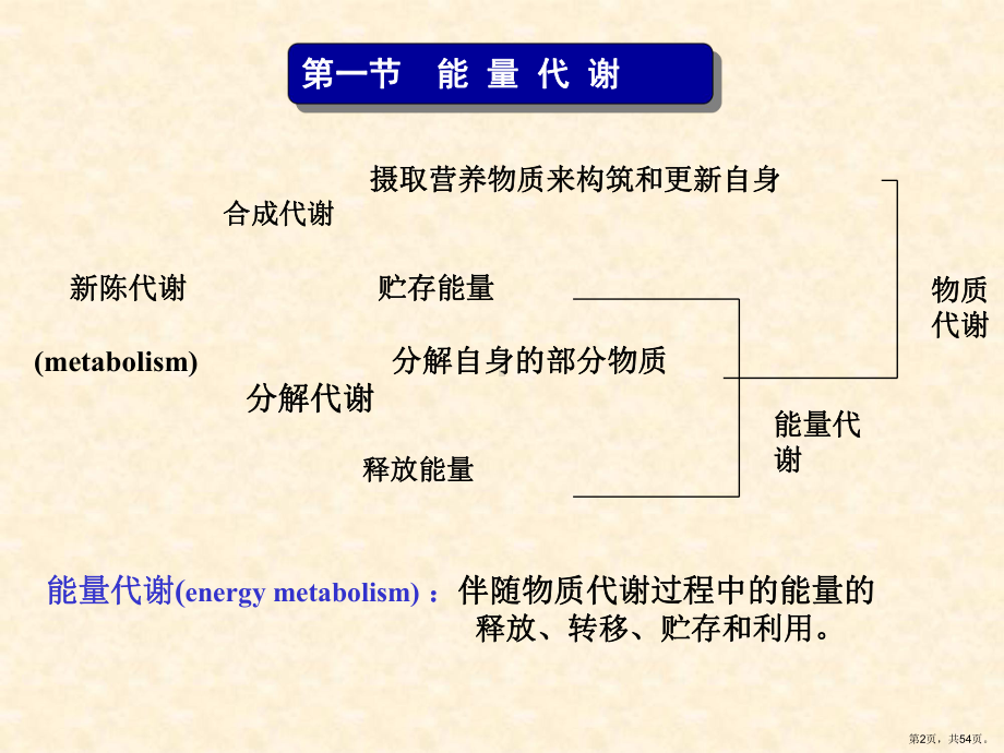 能量代谢8课件.ppt_第2页