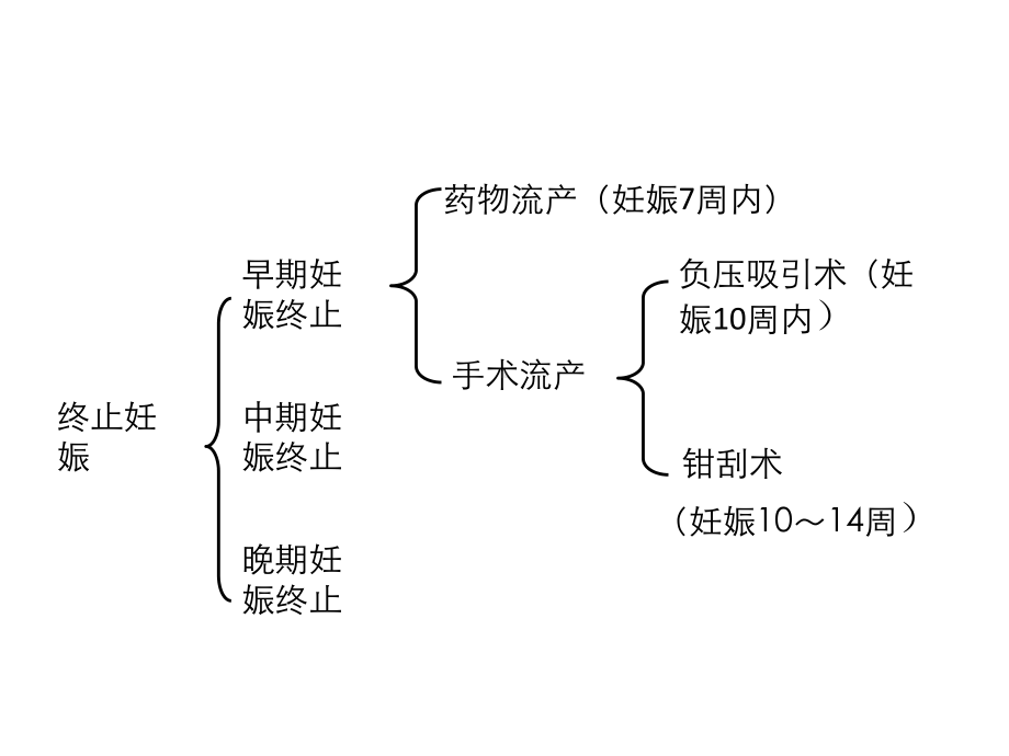 终止妊娠方法与护理课件.pptx_第3页