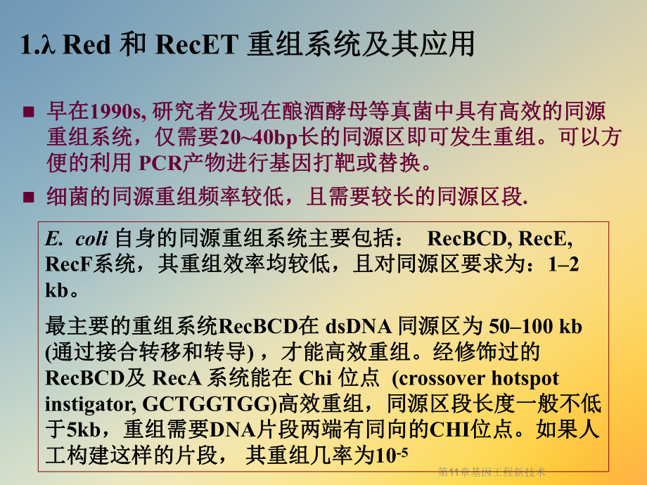 基因工程新技术课件.ppt_第3页