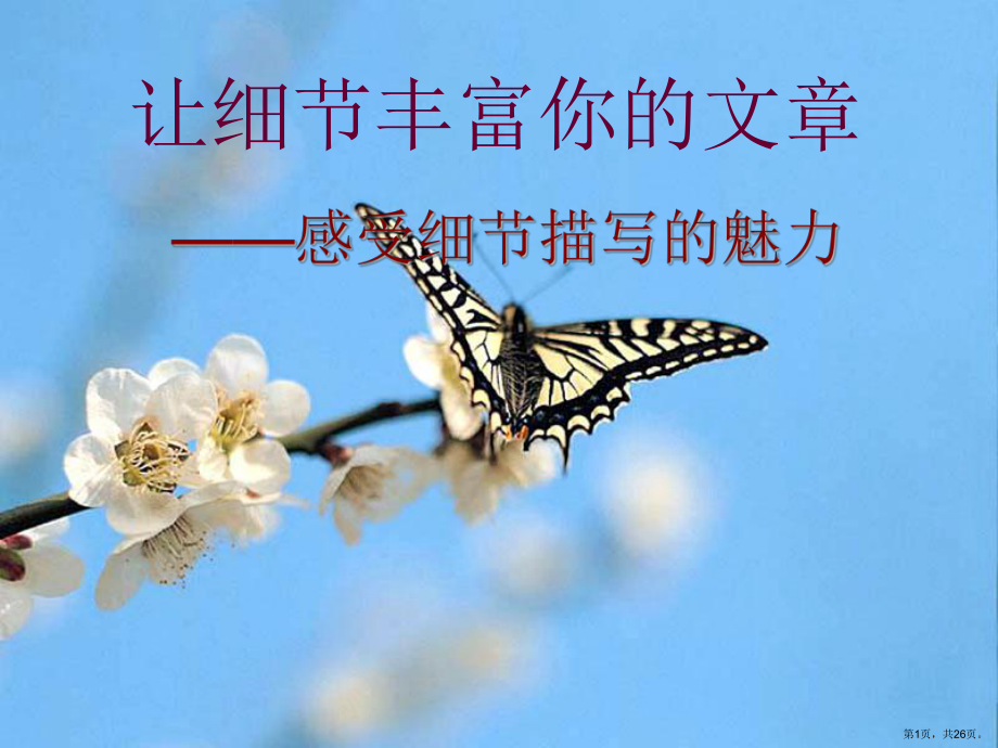 让细节丰富你的文章-感受细节描写的魅力课件.ppt_第1页