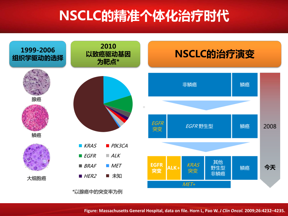 肺癌内科精准治疗课件.ppt_第3页