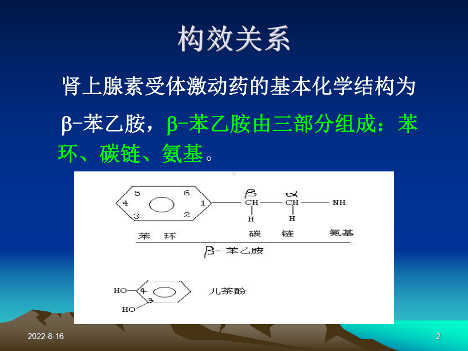 药理学课件第5章肾上腺素受体激动药PPT课件.ppt_第2页