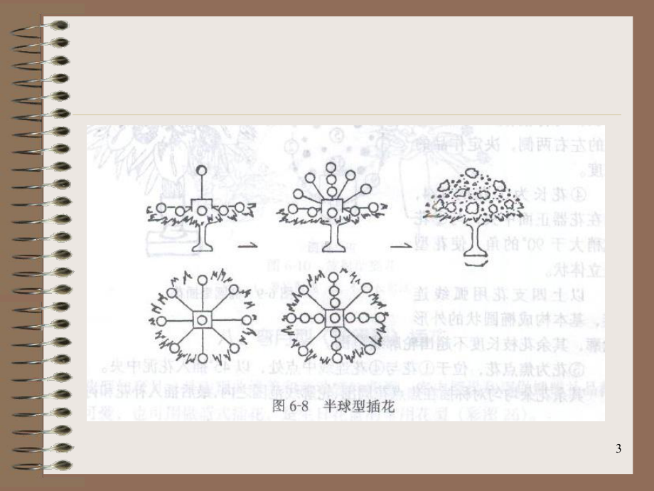 西方插花艺术课件.ppt_第3页