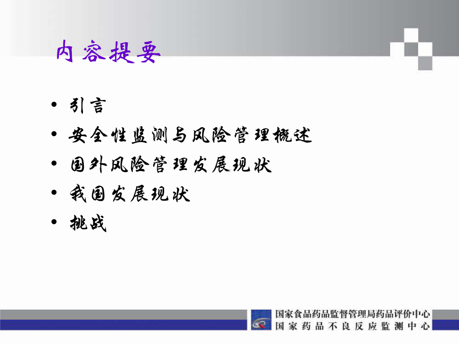 药品安全监测与风险管理课件.ppt_第2页