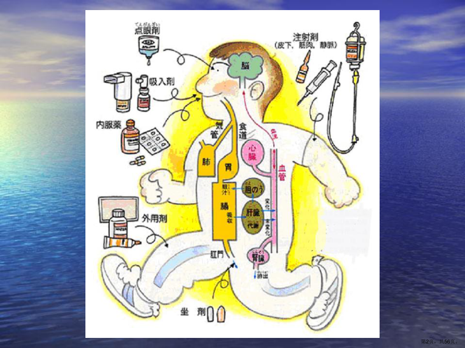 药物疗法与过敏试验法课件2.ppt_第2页