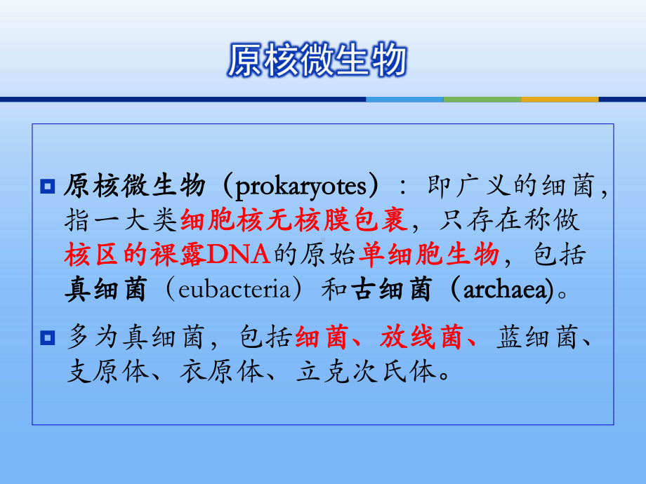 微生物的形态和分类课件.ppt_第2页