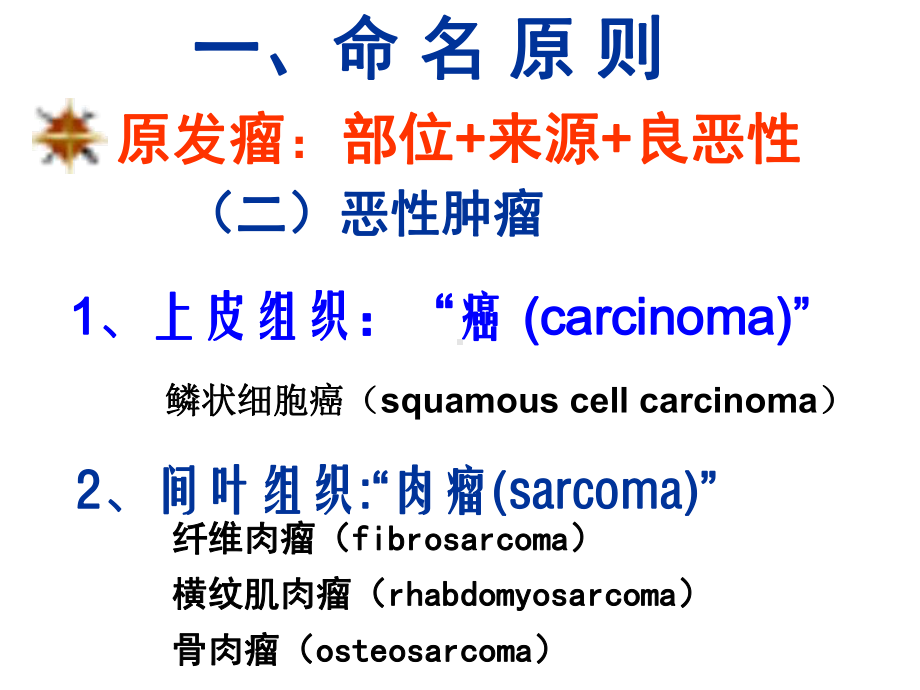 肿瘤(2命名分类生长与扩散)课件.ppt_第3页